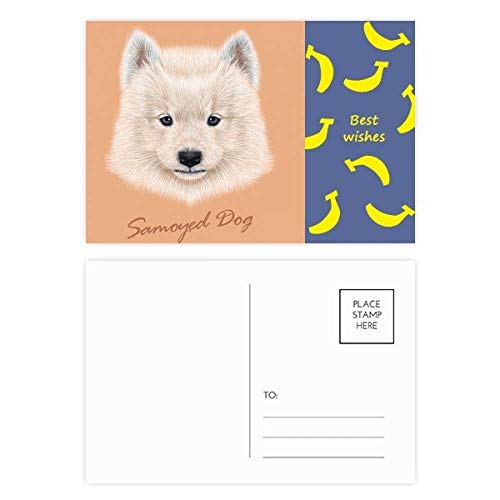 Carte postale Samoyède lot de 20 cartes de correspondance et remerciement chien blanc