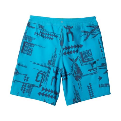 Quiksilver Men's Standard Molokai Boardshort Swim Trunk2