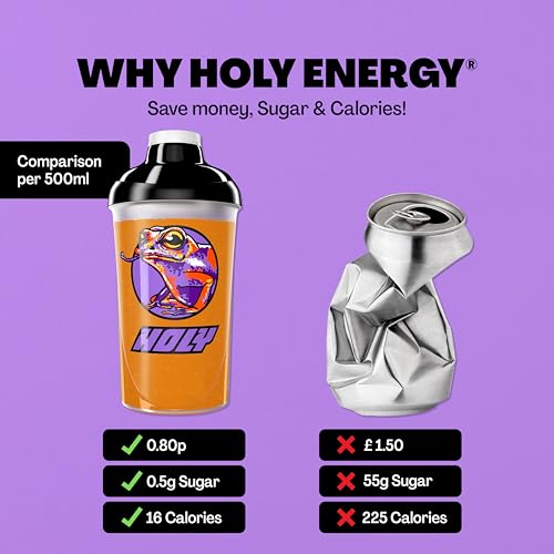 HOLY Energy Gaming Booster Flavour Powder | 50 portions with NewCaff & Green Tea Extract | Focus Booster - Focus Drink | Vegan with 100% natural fruit flavours (350 grams, Fruity Frog)