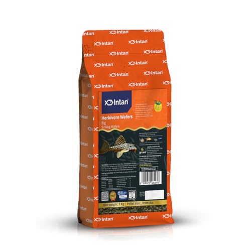 Image of Intan Herbivore Wafers (Big 3.0mm Sinking) | 1Kg - Highly Nutritious Ornamental Fish Food for Herbivorous Fish - Mollies, Mbunas & Plecos | Growel Feeds