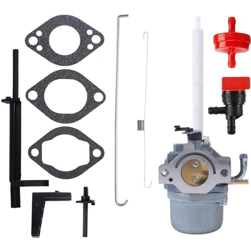 Swess - 796122 Carburetor for Briggs & Stratton 796122 794593 793161 20A114 20A414 20M114 20M107 Snowblower Carburetor Parts