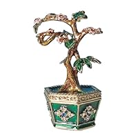 juniperus procumbens nana bonsai Dwarf Japanese Garden Juniper main image 0