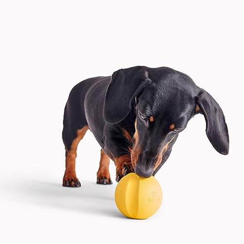 Beco Hundespielzeug - Naturkautschukball zum Apportieren, Spielzeug für Hunde, leicht zu Finden, leuchtende Farben - Gelb