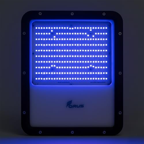 Image of Forus 200W LED Flood Light IP67 Waterproof, Blue Outdoor Decorative Floodlight for Garden Decor, Landscape, Parking, Warehouse, High Mast Security Light with 4 Year Warranty