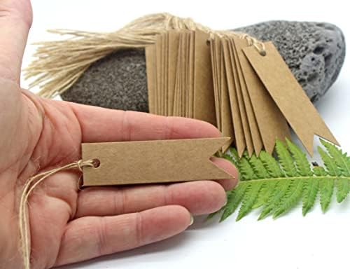 Brown Mini Gift Tags with String Kraft Paper Card , 100pcs 7x2cm Luggage Tag Labels Craft Price Tags with Free 30 Meter Jute String DIY (Brown)