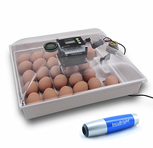 IncuView All-in-One Automatic Egg Incubator with Candler Deluxe Combo Kit