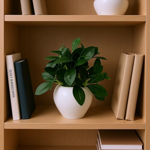 Image of fancymart Artificial Rubber Plant in 4 Inch White Apple Pot (22 cm Height) - Realistic Green Decorative Plant for Home Decor, Living Room, Office Desk & Interior Decoration