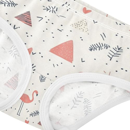 ZZKKO Geometric Flamingo Abstract Girls Underwear Toddler Panties for Girls Comfort Brief Size 2-8T3