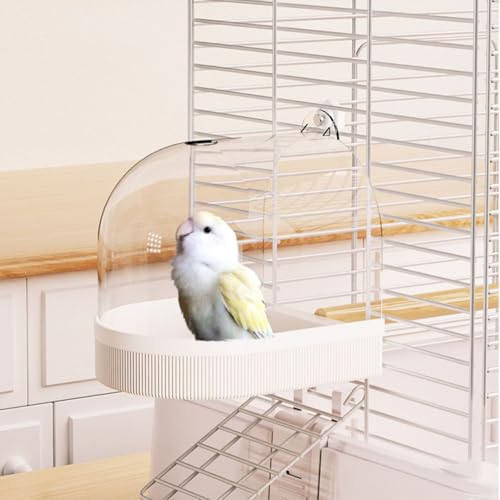 o[hoX Ot CR   ъ 傫  ZLZCCR IJCR tB` ^ ^  C e юUȂ  NA P[W Œ  o M  ΍ pi (zCg)