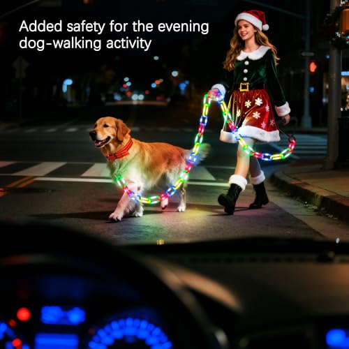 60% Off Joomer 6FT Light-Up Dog Leash with 8 LED Modes