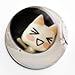Toro Inoue Cat Kawaii Badge Soft Button Lapel Anime Pin Decor Brooch Jewelry Decoration Gift (6pcs)