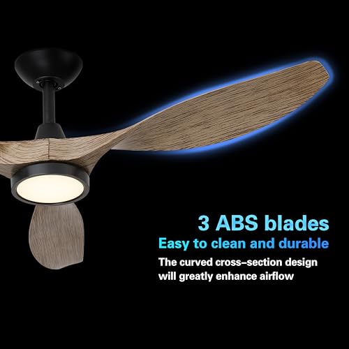 Roomratv Ceiling Fans with Lights,52 Inch,Quiet & Strong Motor,6 Speeds,3CCT,Timer,Easy to Install,Black Modern Ceiling Fan for Living Room,Bedroom,Kitchen,Office,Farmhouse,Patios by Roomratv - Image 3