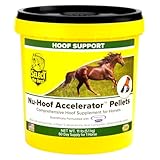 RICHDEL 784299591103 Nu-Hoof Accelerator Hoof & Coat Support for Horses, 11 lb
