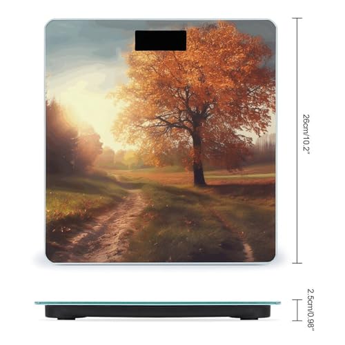 Báscula Digital de Baño con Vidrio Templado y Pantalla LCD miniatura 2