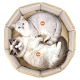 PJYuCien Orthopedic Memory Foam Bed