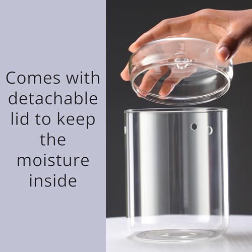 LaLaGreen Indoor Planter (6x9 Inch) Small Glass Terrarium Jar with Lid for Succulent Plants, Reptile Cactus Mini Fern Fairy Moss Tabletop Decoration Container Pot Kitchen Office Home Garden Decor - Image 4