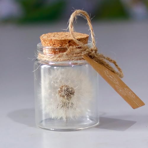 HUATEEN Diente de León Real en un Vaso,Regalo Cumpleaños Madre Diseño de Diente de León Cumpleaños Día San Valentín Boda Día Madre Regalos para Niños Mejor Amigo