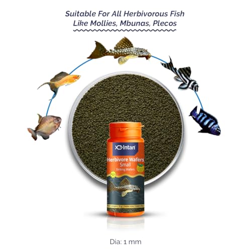 Image of Intan Herbivore Wafers (Small 1mm Sinking) | 70gm - Highly Nutritious Ornamental Fish Food for Herbivorous Fish - Mollies, Mbunas & Plecos | Growel Feeds