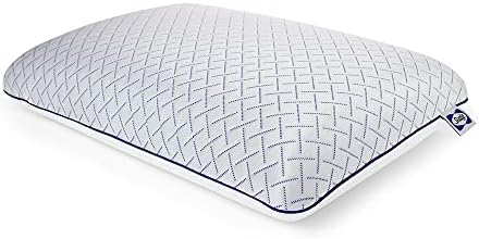 Sealy Essentials Cool Touch Memory Foam Pillows, 2 Pack