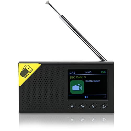 Radio FM Internet Portable, Radio Numérique sans Fil 1200 MAh pour DAB Écran LCD 2,4 Pouces Lecteur Radio à Sortie Stéréo pour Utilisation Intérieure et Extérieure
