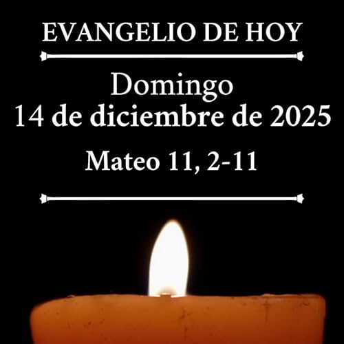 Evangelio del domingo 14 de diciembre de 2025 - "&iquest;Eres t&uacute; el que ha de venir?"