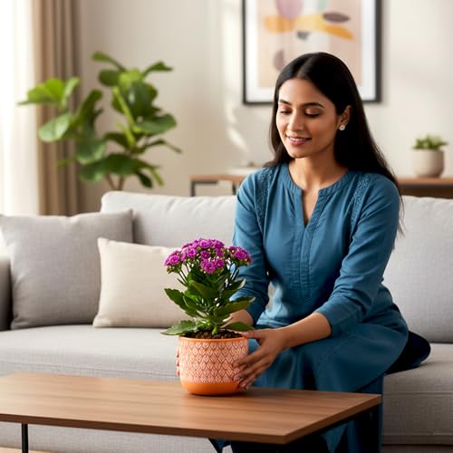 Image of Urban Plant Orange Charm Virasat Terracotta Pot with Drainage Hole (5 Inch) | Hand-Painted Decorative Clay Planter | Breathable Indoor Plant Pot for Healthy Growth