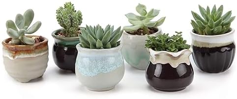 T4U Mini Ceramic Succulent Pots with Drainage - Set of 6, Tiny Po...