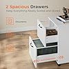 Sweetcrispy 2 Drawer Filing Cabinet White, Rolling Wood File Cabinets with Printer Stand Under Desk Storage Lockable Wheels, Home Office Organizer