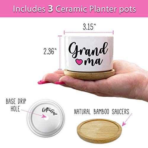 Giftagirl Grandma Mothers Day Or Grandma Birthday Gifts - Best Grandma Ever Gifts From The Grandkids, Our Best Grandma Pots Make A Wonderful Gift For Mothers Day, And Arrive Beautifully Gift Boxed #TOP5