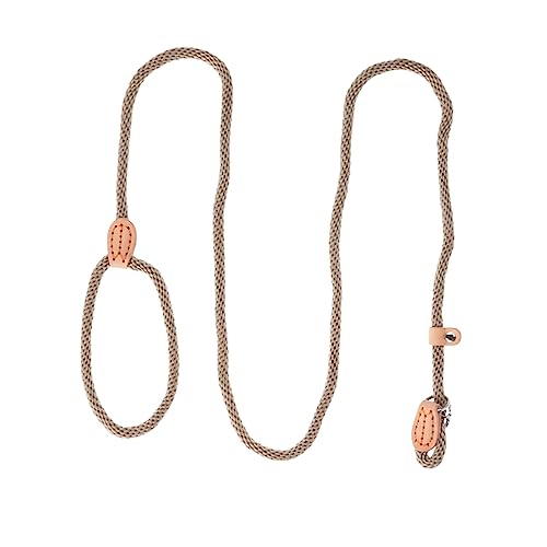 JOINPAYA ナイロン製犬用訓練リード な属バックル付き 中型 大型犬用 耐久性があり引っ張り防止 快適なハンドルでペット練習コントが簡単 ベージュ