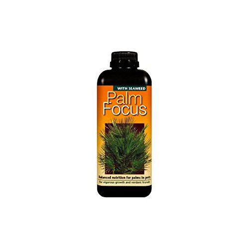 Palm Focus Concentrated Liquid Fertiliser 1 litre - For Indoor and Outdoor Palms - Professional Grade Plant Food Concentrate with Kelp Seaweed Extract - Makes 200L Feed