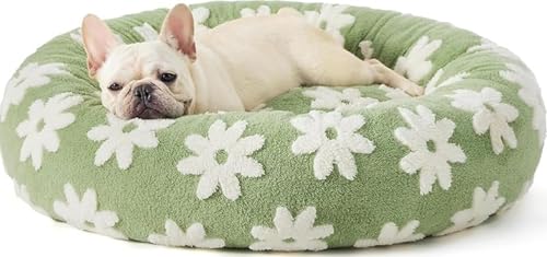 CokBlu h[ic^ybgxbh LhbOp ^ybg ӂ_炩?݌v 炵~`^ S̐\ hEh@\t H~gpœK \t@p ybgpi?