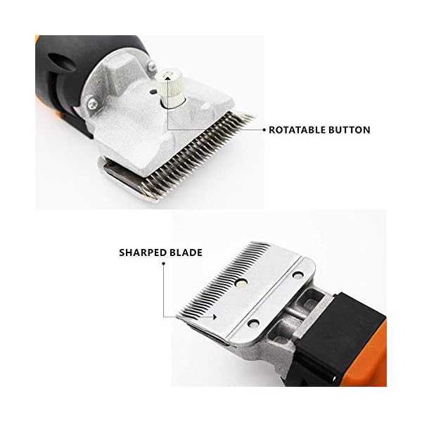 Professional, Adjustable Horse Shears Grooming Clippers, Llamas Thick Coat Animals, Farm Livestock Pet Supplies Professional, Adjustable Horse Shears Grooming Clippers, Llamas Thick Coat Animals, Farm Livestock Pet Supplies
