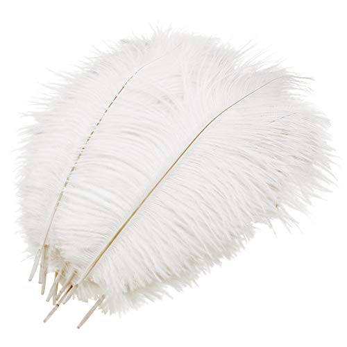 MWOOT 10 Pezzi Piuma di Struzzo, 10-12pollici