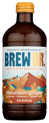 BREW DR Ginger Turmeric Kombucha, 14 FZ