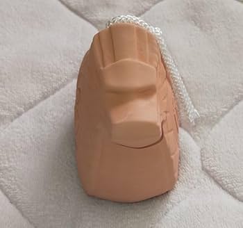 Amazon.co.jp: 伊勢神宮(三重 伊勢)五十鈴(干支陶器製置物＋鈴) 令和6