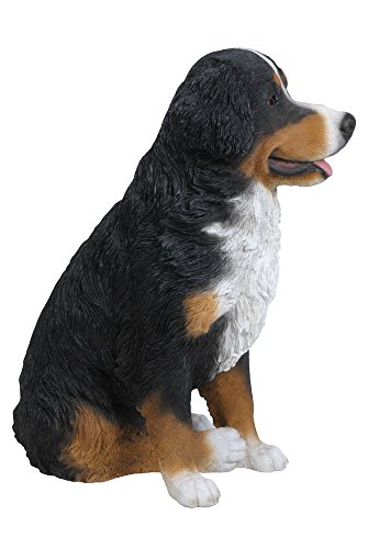 Hi-Line Gift Ltd Bernese Mountain Dog Statue #TOP4