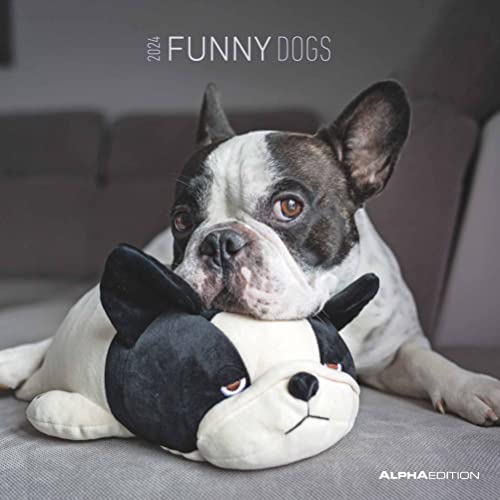 Funny Dogs 2024, Brochure Calendar 30 x 30 cm (30 x 60 cm Open), Calendar with Space for Notes, Dogs, Picture Calendar