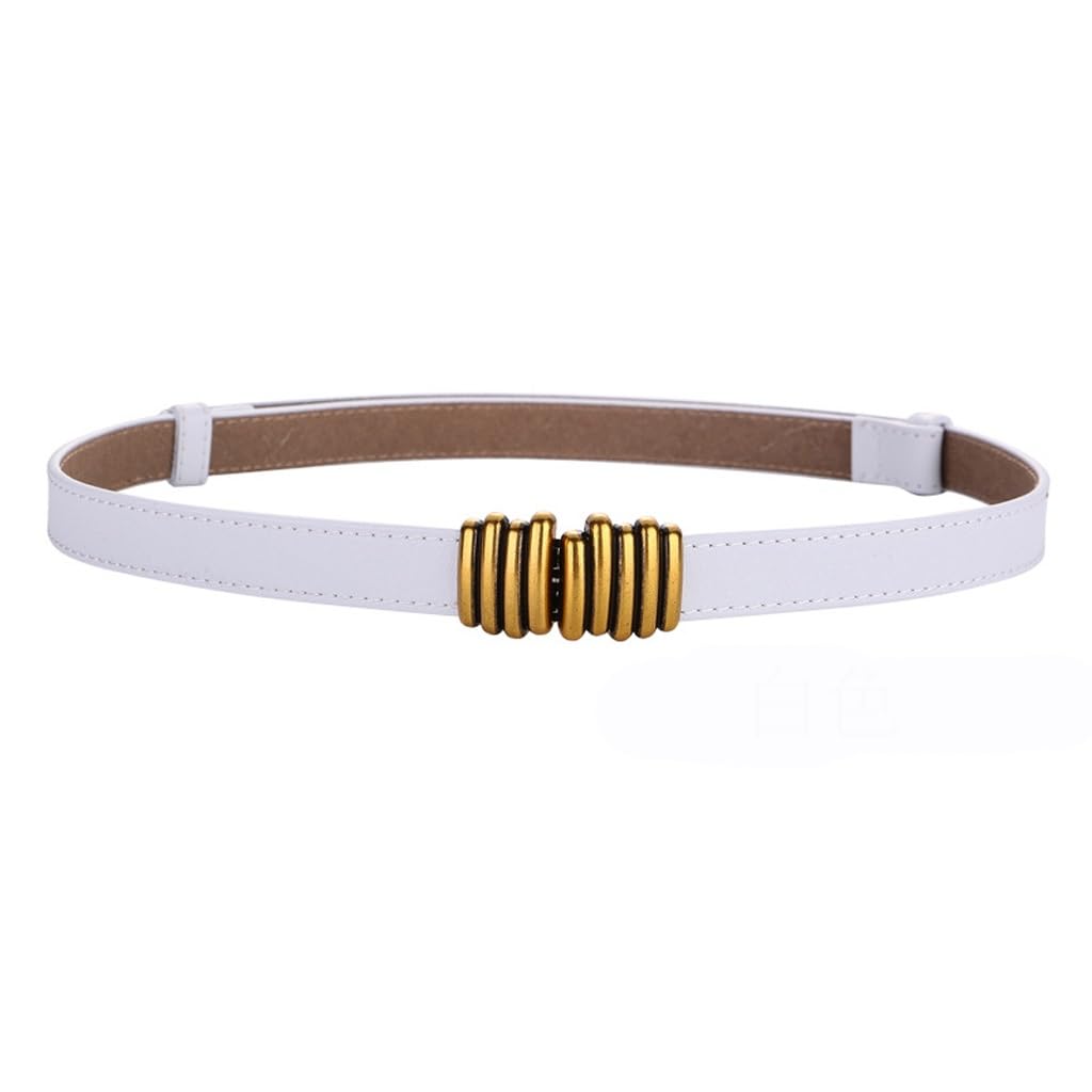 Adjustable Belt for Matching Suit Dress Belt for Womens Decoration with Waist Cinching Buckle Small Belts