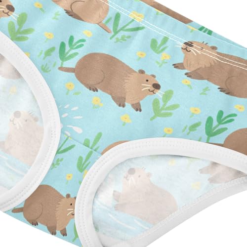 GuoChe Briefs Elastic Waistband Panties Organic Cotton Toddler Underwear for Toddlers in Sizes 2T,3T, 4T, 5T, 6Y and 8Y4