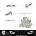 License Plate Metric Phillips Head Screws - 100 per Box - Zinc-Plated Steel - Ideal for Car Truck Dealerships