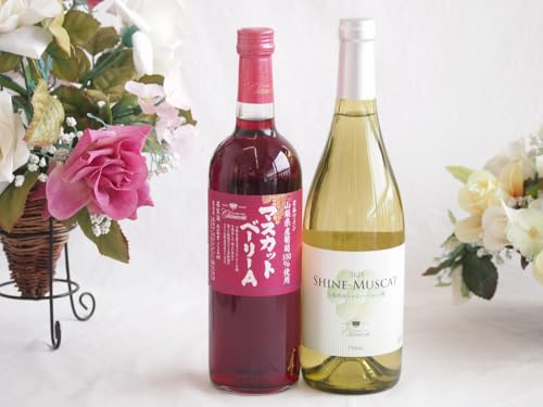 RY}XJbgx[[AgpCƍYC2{Zbg(VC}XJbg100C Ì(R)750ml}XJbgx[[AԃC720ml