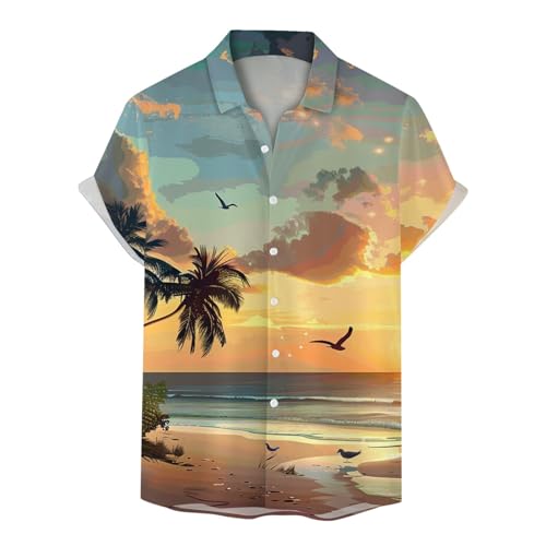 [KELIHAWK] �A���n�V���c �����Y �傫���T�C�Y �r�[�`�V���c 3D�v�����g �T���Z�b�g �� �䟭�� �{�^���_�E���V���c ������� �J�W���A�� ������������ ������� �_�炩�� �����b�N�X �ăg�b�v�X �n���C�� ���]�[�g �C�x���g �C�����i���C�g