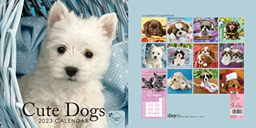 2023 Cute Dogs Puppies Square Hanging Wall Calendar With Stunning Photography. Daily, Weekly, Monthly 12 Month Planner, Dog Puppy Organizer #TOP1