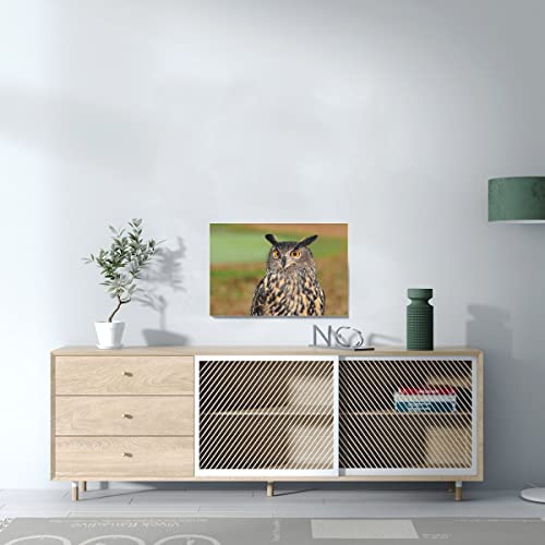 Tableau décoratif hiboux chouette pour décoration murale