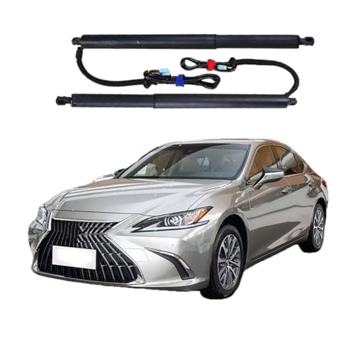 de[Q[gT|[g ɓK NTX ES 2021 p[gNtg dnb` e[Q[gXgbg I[gAhAAN`G[^[ p[nb`tgT|[g(No Kick Senor)