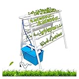 La culture sans sol est une méthode de culture de plantes avec d'autres éléments sans sol, y compris la culture hydroponique, la culture en brouillard (air) et la culture sur substrat. Du milieu du XIXe siècle jusqu'aux années 1930, cette technologie a été appliquée à la production agricole. 21e siècle, les ns ont encore amélioré la technologie, entraînant le développement de la culture hors-sol.