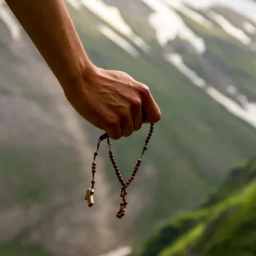 Unas rosas para la Virgen