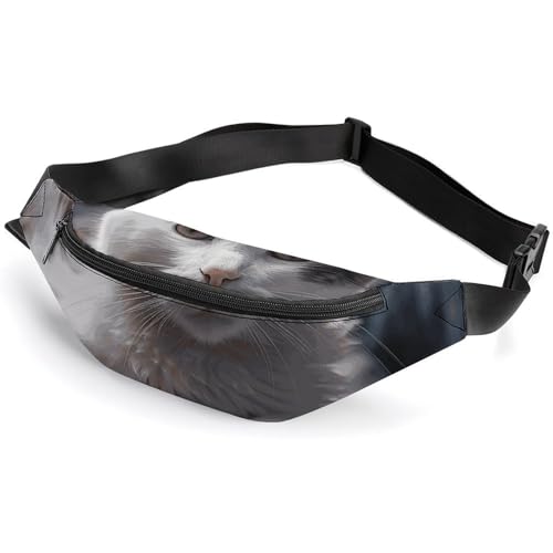 Fanny Packs Crossbody Bags Everywhere Bag Cat on Mattress Printed Small Sling Bag for Travel Hiking Running, style, 36*15cm, Fanny Packs