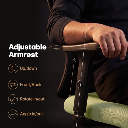 Image of DROGO Ergonaut Ergonomic Office Chair for Work from Home | Computer Chair with 2D Headrest, Armrests & Adjustable Lumbar Support | Breathable Mesh with 120 Recline, 1-Year Warranty (Black & Green)